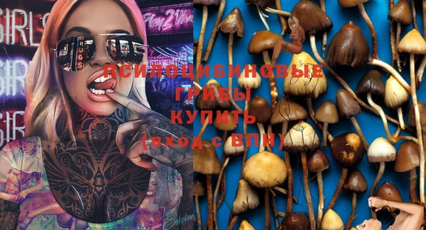 мдма Ладушкин